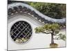 Bonzai Tree and Toled Arch Wall in Winding Garden at West Lake, Hangzhou, Zhejiang Province, China-Kober Christian-Mounted Photographic Print