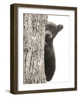 Boo-Dan Sproul-Framed Photo