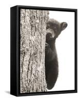 Boo-Dan Sproul-Framed Stretched Canvas