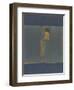 Book Cover 25-Qasim Sabti-Framed Art Print