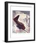 Book Cover for 'The Divine Wind', 1950s-Laurence Fish-Framed Giclee Print