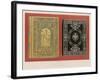 Book Covers by M Gruel Engeemann, Paris-null-Framed Giclee Print