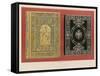 Book Covers by M Gruel Engeemann, Paris-null-Framed Stretched Canvas