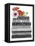 Book Dream I-Grace Popp-Framed Stretched Canvas