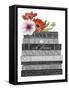 Book Dream I-Grace Popp-Framed Stretched Canvas