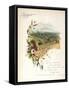 Book Illustration - August-Frederick Hines-Framed Stretched Canvas