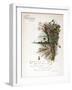 Book Illustration - February-Frederick Hines-Framed Art Print