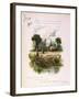 Book Illustration - June-Frederick Hines-Framed Art Print