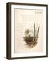 Book Illustration - November-Frederick Hines-Framed Art Print