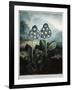 Book Illustration of a Group of Auriculas-null-Framed Giclee Print