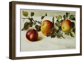 Book Illustration of Apples-Fairfax Muckler-Framed Giclee Print