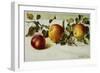 Book Illustration of Apples-Fairfax Muckler-Framed Giclee Print