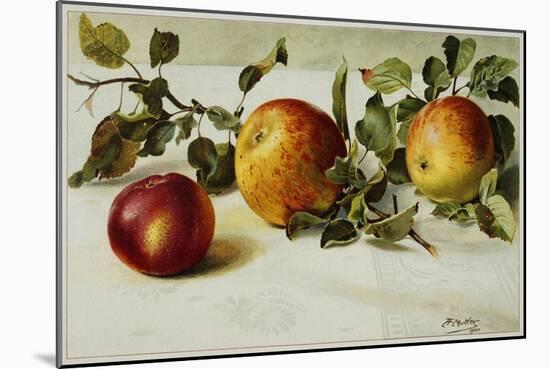 Book Illustration of Apples-Fairfax Muckler-Mounted Giclee Print