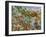 Book Image 13-Bill Bell-Framed Giclee Print