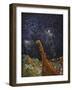 Book Image 18-Bill Bell-Framed Giclee Print