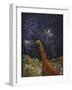 Book Image 18-Bill Bell-Framed Giclee Print