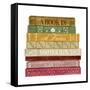 Book Lover I-Grace Popp-Framed Stretched Canvas