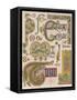 Book of Kells Illuminating Examples-null-Framed Stretched Canvas