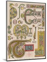 Book of Kells Illuminating Examples-null-Mounted Photographic Print