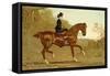 Book of the Horse-Samuel Sidney-Framed Stretched Canvas