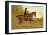 Book of the Horse-Samuel Sidney-Framed Art Print