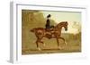 Book of the Horse-Samuel Sidney-Framed Art Print