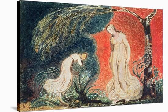 Book of Thel; the Lily Bowing before Thel, before Going Off 'to Mind Her Numerous Charge Among…-William Blake-Stretched Canvas