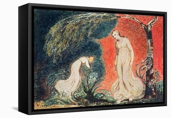 Book of Thel; the Lily Bowing before Thel, before Going Off 'to Mind Her Numerous Charge Among…-William Blake-Framed Stretched Canvas