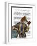 Book Reader Fox-Fab Funky-Framed Art Print