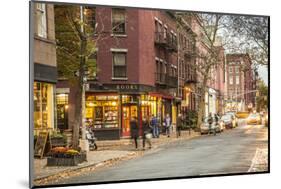 Book Shop in Greenwich Village, Manhattan, New York City, New York, USA-Jon Arnold-Mounted Photographic Print