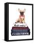 Book Stack Frenchie-Amanda Greenwood-Framed Stretched Canvas