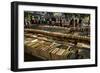 Book Stalls London-Charles Bowman-Framed Photographic Print