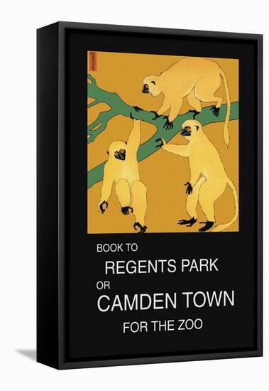 Book to Regent's Park-null-Framed Stretched Canvas