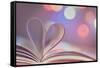 Book With Heart-egal-Framed Stretched Canvas