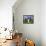 Book With Science Fiction Scene And Open Doorway Of Light-rolffimages-Framed Stretched Canvas displayed on a wall