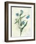 Booked Blue I Crop-Katie Pertiet-Framed Art Print