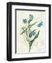 Booked Blue I Crop-Katie Pertiet-Framed Art Print