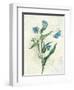 Booked Blue I Crop-Katie Pertiet-Framed Art Print