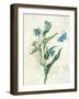 Booked Blue I Crop-Katie Pertiet-Framed Art Print