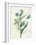 Booked Blue I Crop-Katie Pertiet-Framed Art Print