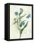 Booked Blue I Crop-Katie Pertiet-Framed Stretched Canvas