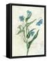 Booked Blue I Crop-Katie Pertiet-Framed Stretched Canvas