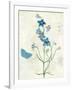 Booked Blue II Crop-Katie Pertiet-Framed Art Print