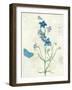 Booked Blue II Crop-Katie Pertiet-Framed Art Print