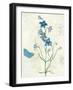 Booked Blue II Crop-Katie Pertiet-Framed Art Print