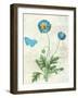 Booked Blue IV Crop-Katie Pertiet-Framed Art Print