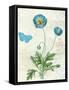 Booked Blue IV Crop-Katie Pertiet-Framed Stretched Canvas