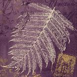 Lavender Fern-Booker Morey-Art Print