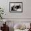 Booker T. Washington, Writing at His Desk-null-Framed Photo displayed on a wall