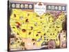 Booklover's Map Of The United States-Amy Jones-Stretched Canvas